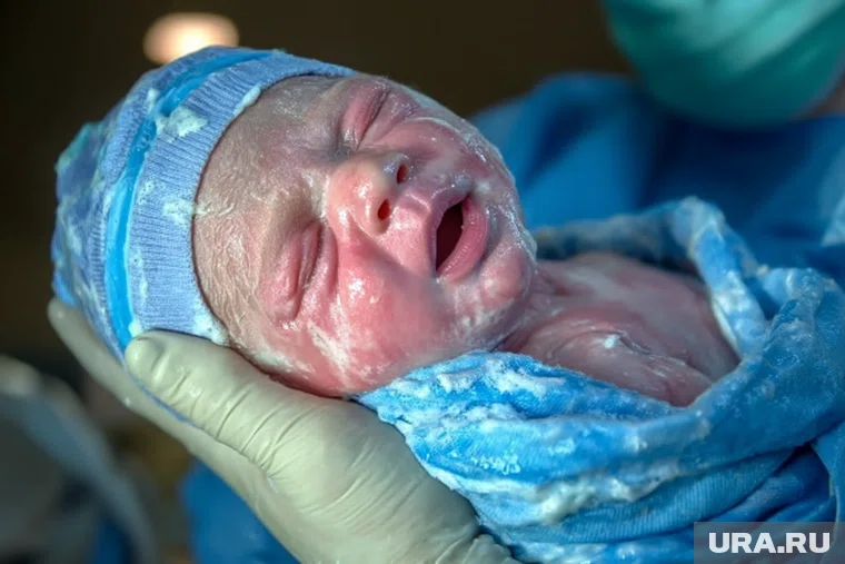 Сейчас пятеро малышей находятся под интенсивным наблюдением