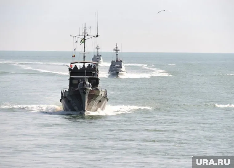 Туристы отправились в Баренцево море, чтобы увидеть китов, но чуть не утонули