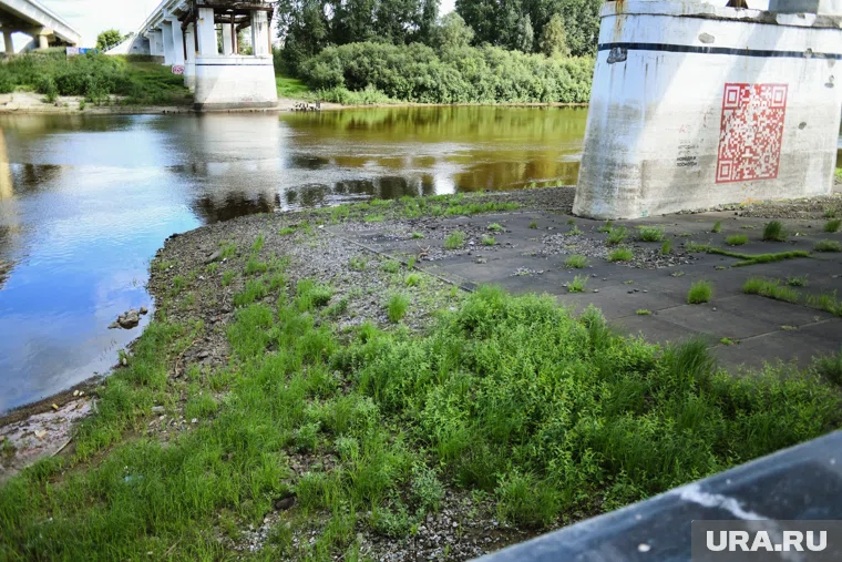 Деньги на расчистку выделят из федерального бюджета