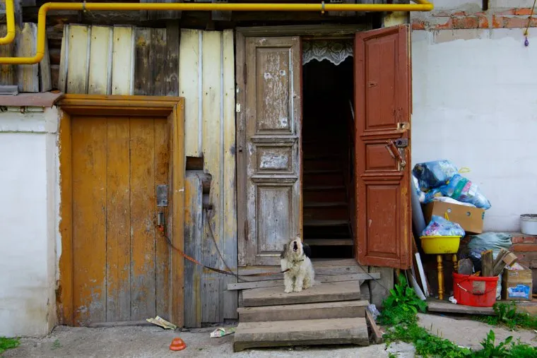 Виды Кунгура, старый дом, охрана, крыльцо, собака