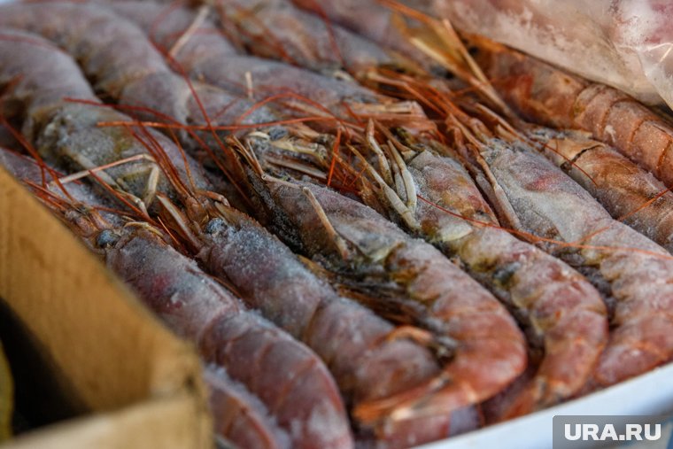 Импорт российских морепродуктов в ЕС вырос на четверть несмотря на санкции