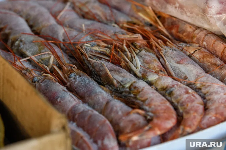 Торговля морепродуктами между РФ и ЕС продолжает расти