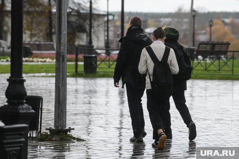 Подростки устроили погром в электричке, следовавшей из Монино