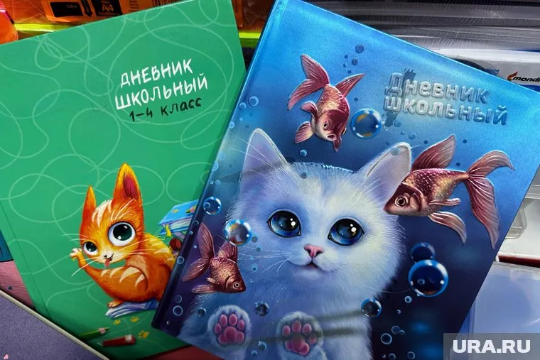 Курганцы продолжают скупать школьные дневники с котятами