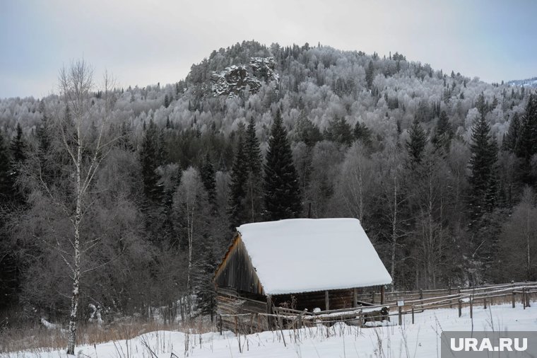 Появилась новая версия пропажи семьи Усольцевых в красноярской тайге: что известно через 1,5 месяца поисков
