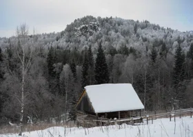 Появилась новая версия пропажи семьи Усольцевых в красноярской тайге: что известно через 1,5 месяца поисков