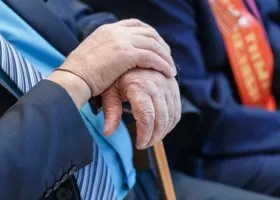 Фотография из галереи