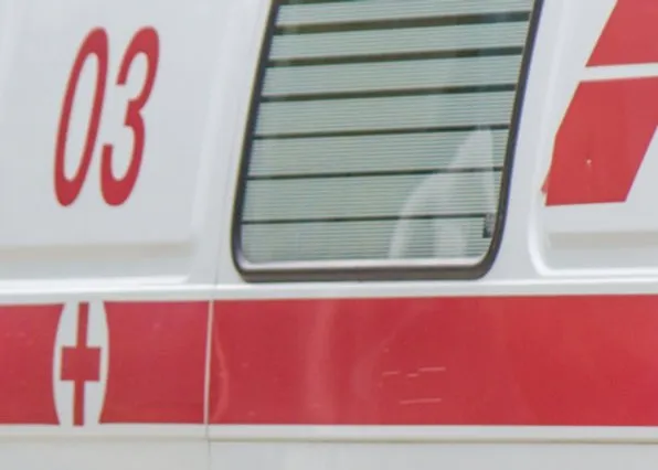 Фотография из галереи