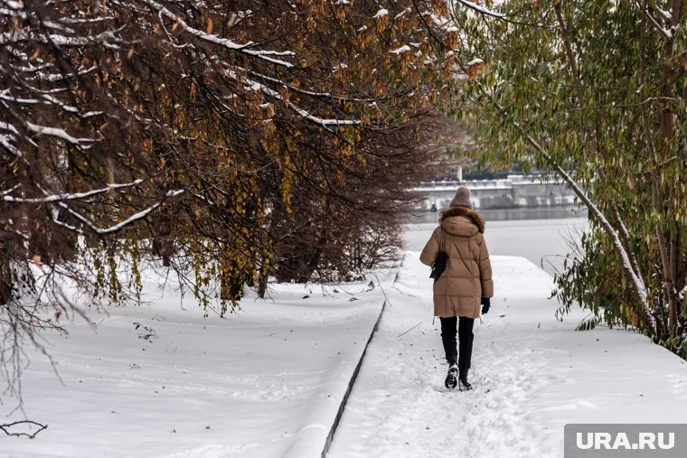 Ближе к полудню 15 ноября в Екатеринбурге снег сменит дождь, а потом осадки прекратятся