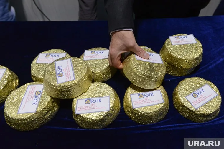 Суд начнет рассматривать иск Генпрокуратуры о национализации ЮГК 8 июля