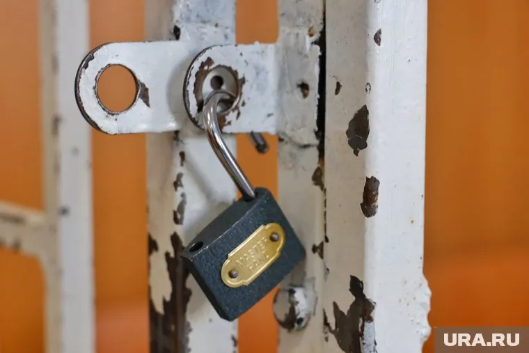 Попов построил дом и баню на деньги для парка «Патриот»