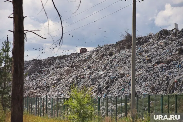 Курганцы готовят апелляцию на решение суда по мусорному вопросу