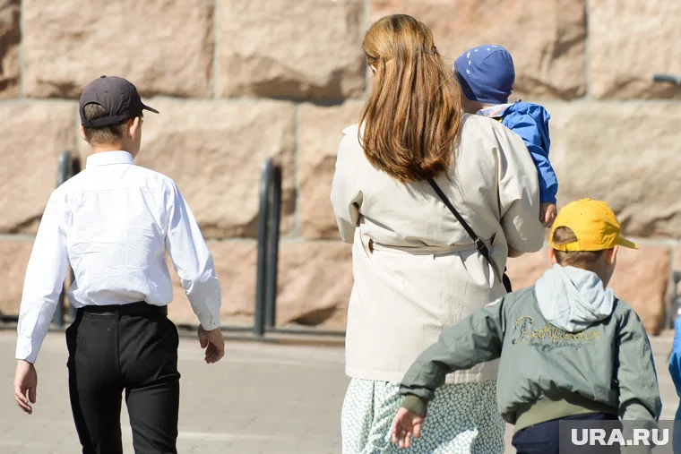 Сейчас в России 2,9 миллиона многодетных семей