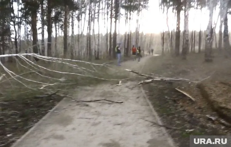 Ураган настиг смелых пешеходов