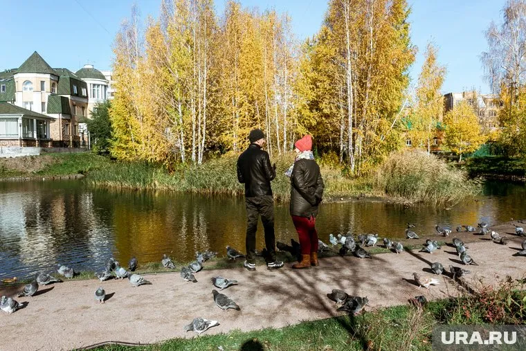 Ночью на выходных погода местами по краю может упасть до +1 градуса