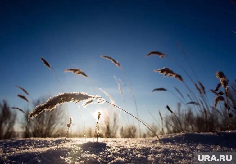 Морозы ударят по Зауралью сильнее, чем в прошлом году