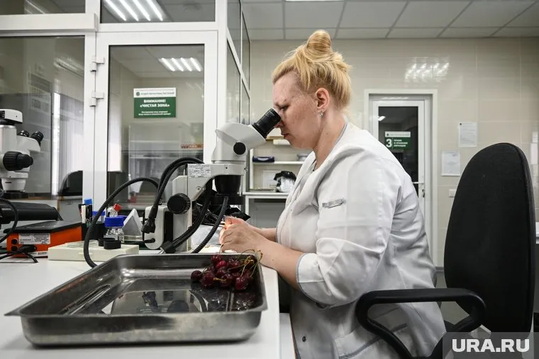 Результаты исследования бабочек появятся через два или три года