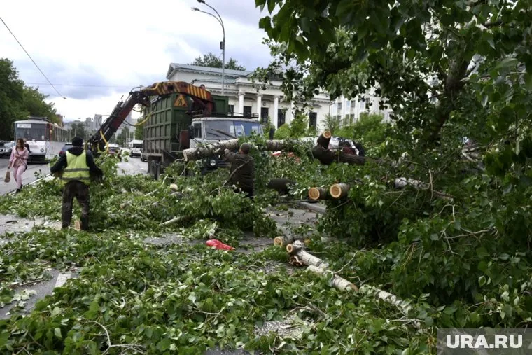 Ураган валил деревья в центре Екатеринбурга