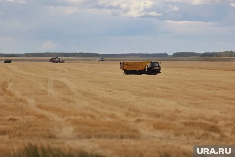 Венгрия предложила Украине альтернативный вариант экспорта зерна, но Киев на него не отвечает, заявил Петер Сийярто