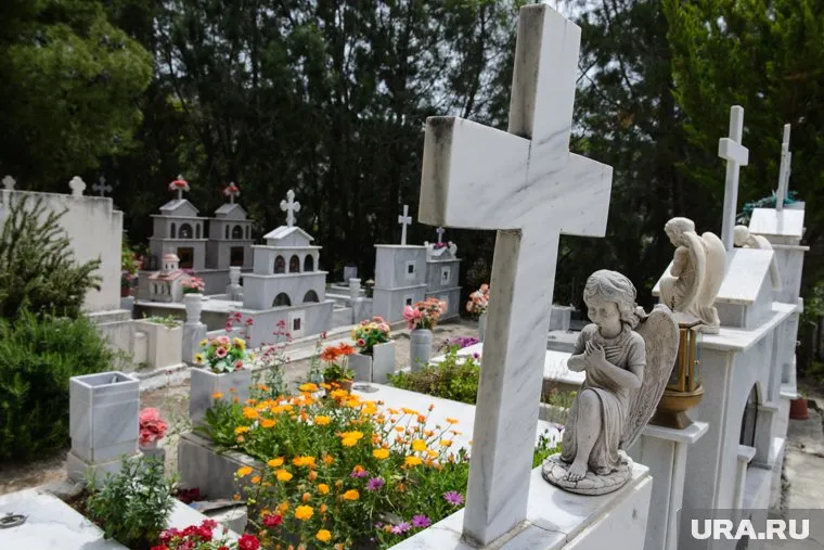 Частные кладбища будут организованы в форме государственно-частного партнерства