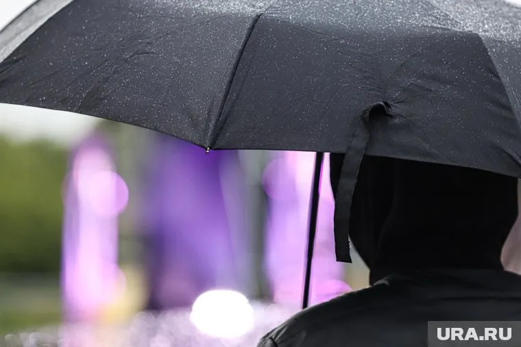 В Москве выпало почти 20% от месячной нормы осадков за 30 июня, заявил Тишковец
