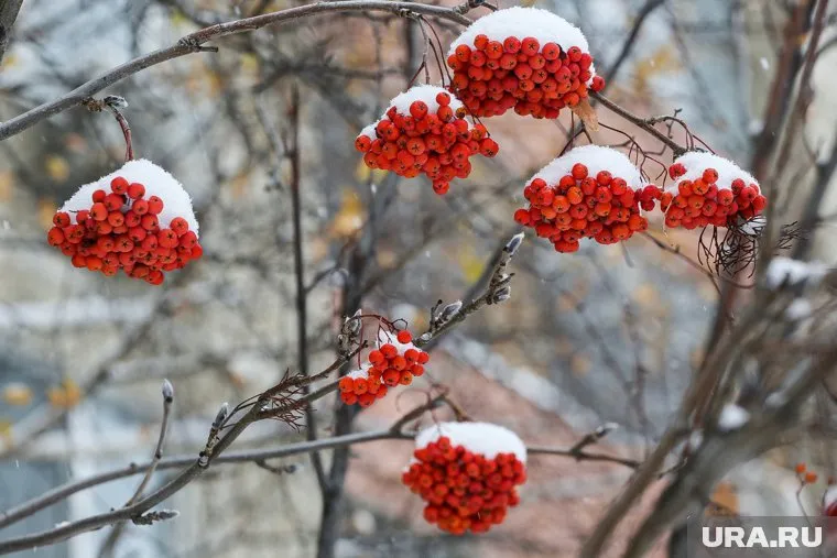 В Челябинской области похолодает до -27 градусов, но потом потеплеет до нуля