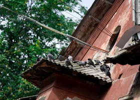 Бесхозное жилье в ДНР и ЛНР передадут в госсобственность