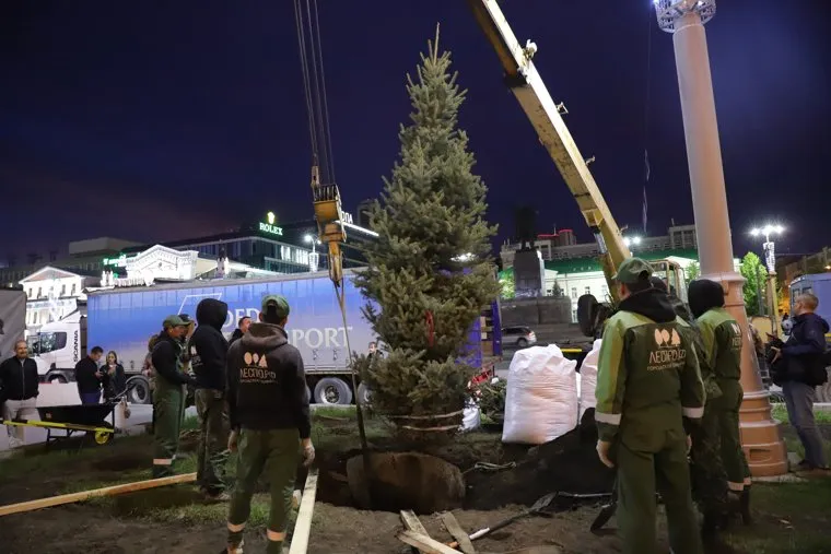 Новые ели. Екатеринбург