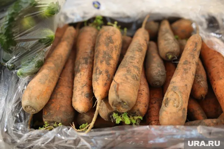 На популярном рынке Тюмени за 150 рублей продают килограмм немытой моркови