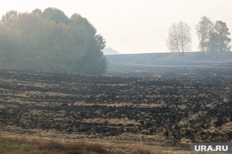 Агрофирма «Николаевское» может лишиться участка земли