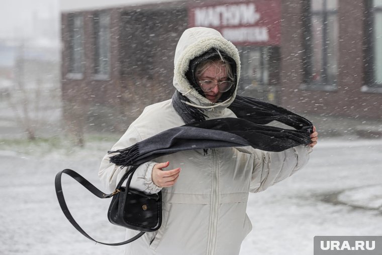 Школы Когалыма перейдут на онлайн-обучение из-за сильной метели
