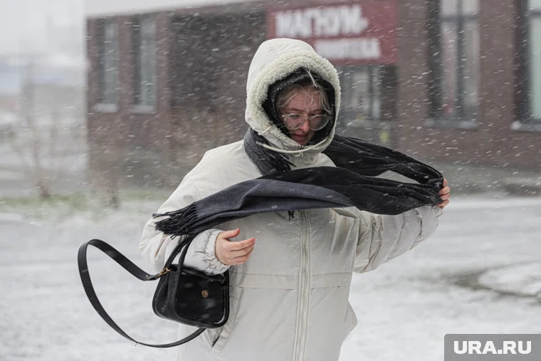 Онлайн-занятия пройдут для учеников с 1 по 11 классы обеих смен