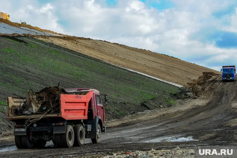 Растения займут площадь около 240 квадратных метров