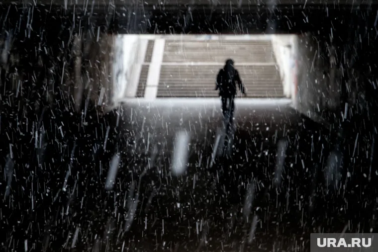 Ученый оценил стоимость тоннеля между Чукоткой и Аляской в 15 миллиардов долларов