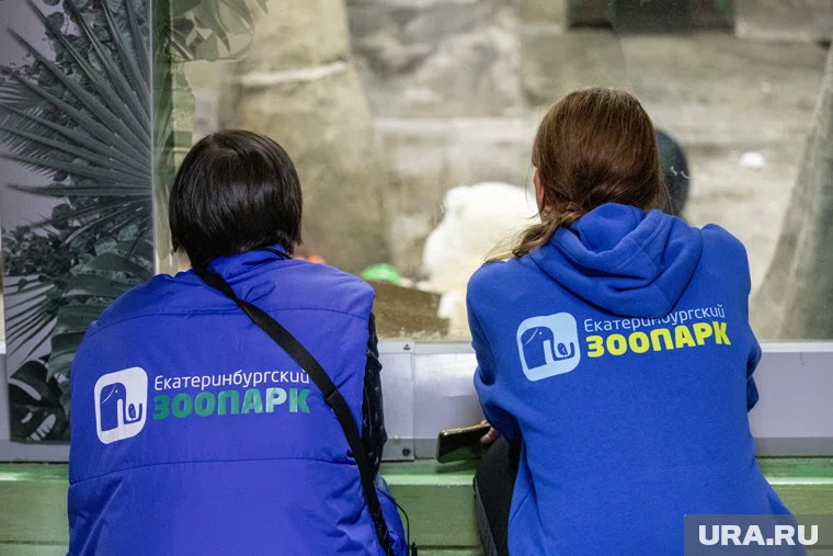 Самке рыже-серого валлаби всего восемь месяцев