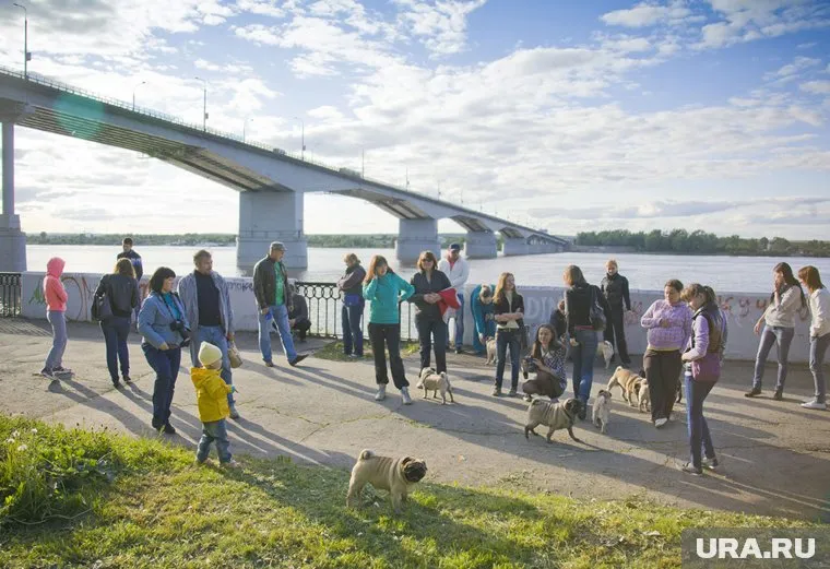 За счет средств федерального и регионального бюджетов будут трудоустроены 2,5 тысячи пермяков