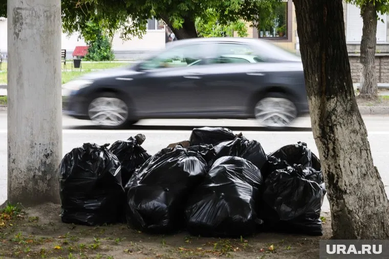В регионе мусор планируют сортировать с 2021 года