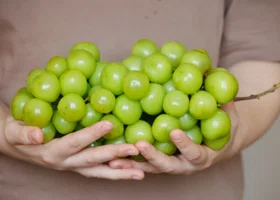 «Пластиковый» гигантский виноград из Китая упал в цене