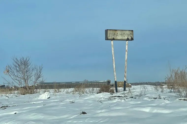 Золотая дорога. Деревня Дианово и Новодостовалово. Курган