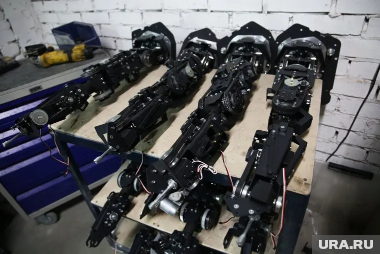 Студенты будут изучать уникальные образовательные программы