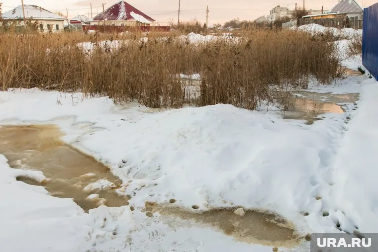 По словам жителей, септик не откачивали много лет (архивное фото)