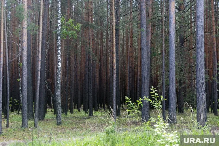 Дети 4 июня ушли на рыбалку, но заблудились (архивное фото)