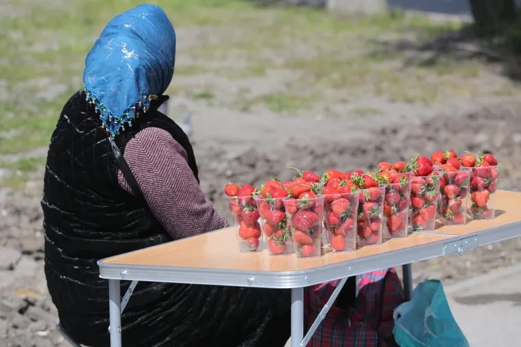 Торговля клубникой. Тюмень 