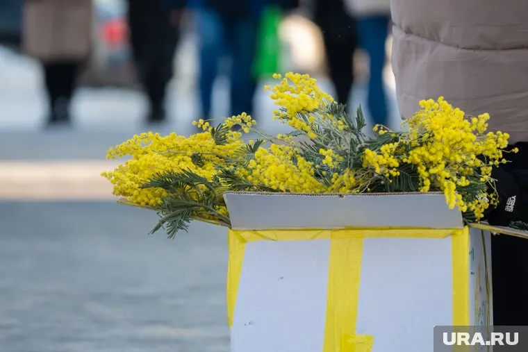 За нелегальную торговлю предусмотрен штраф