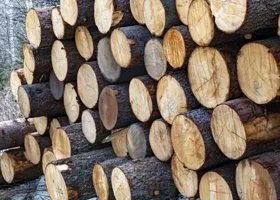 В Екатеринбурге осужден контрабандист из ХМАО