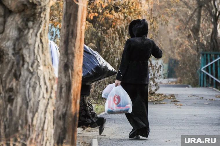 Подозреваемая предоставила соцзащиту Челябинска фиктивные документы о рождении ребенка