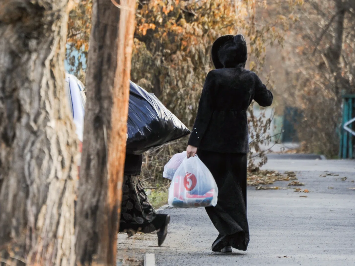 В Челябинске наложен арест на имущество женщины из диаспоры