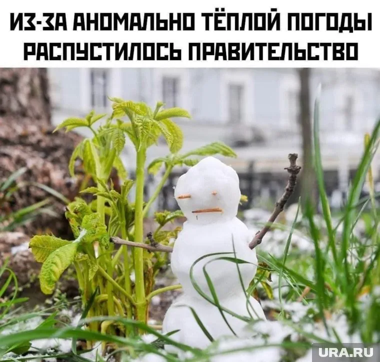 Шутка недели