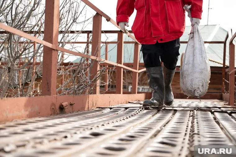 Местные жители вынуждены перебираться на лодке к дому