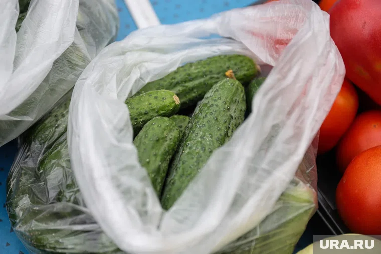Огурцы стали стоить в среднем 153 рубля